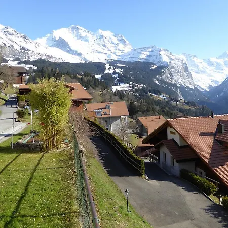 Appartement Gerbera *