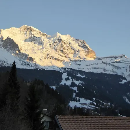 Appartement Gerbera Wengen