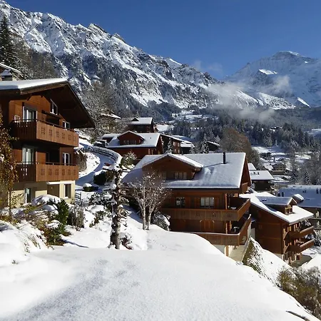 Appartement Gerbera *