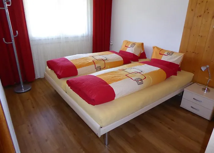 Gerbera * וונגן