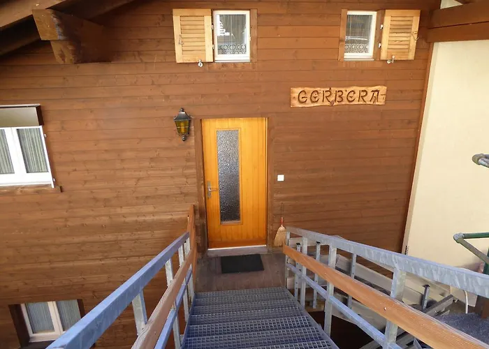 Gerbera * Βένγκεν