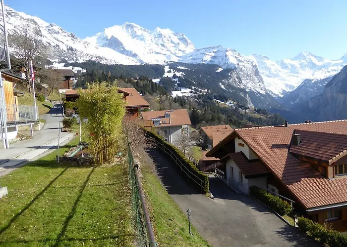 Apartament Gerbera *