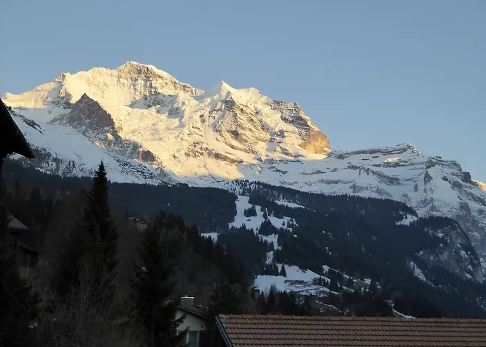 Apartament Gerbera Wengen