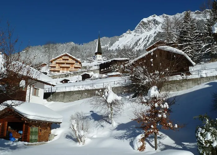 Apartament Gerbera Wengen